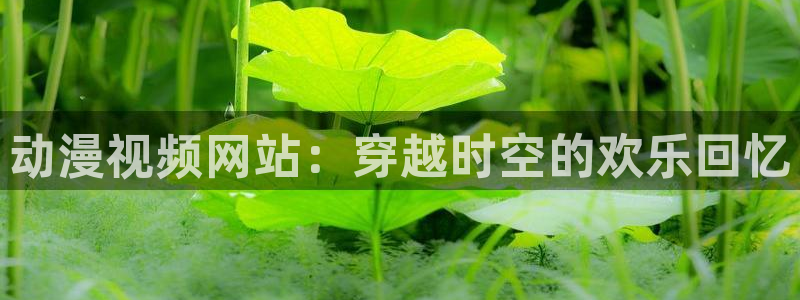 汗汗漫画本月热门：动漫视频网站：穿越时空的欢乐回忆配图