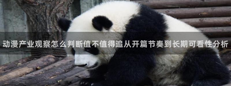 汗汗漫画大全高清阅读：动漫产业观察怎么判断值不值得追从开篇节奏到长期可看性分析配图
