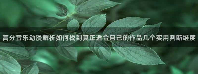 汗汗漫画作品推荐：高分音乐动漫解析如何找到真正适合自己的作品几个实用判断维度配图