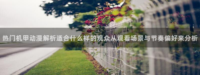 汗汗漫画全部分类：热门机甲动漫解析适合什么样的观众从观看场景与节奏偏好来分析配图