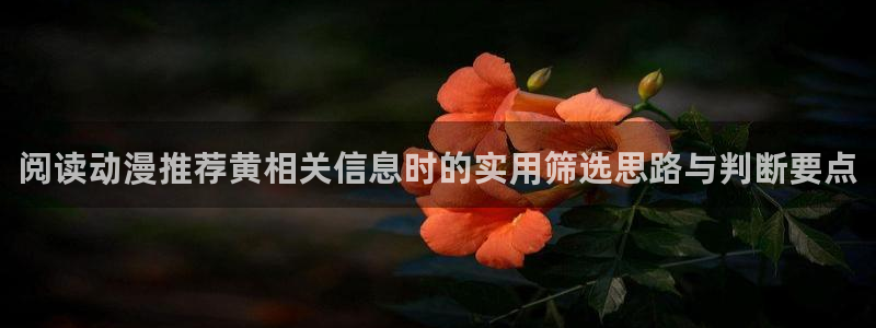 汗汗漫画网站:阅读动漫推荐黄相关信息时的实用筛选思路与判断要点配图